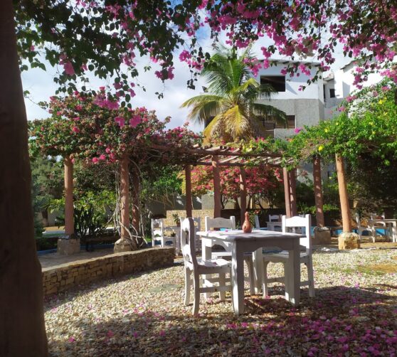 Hotel Casa Viento · 5