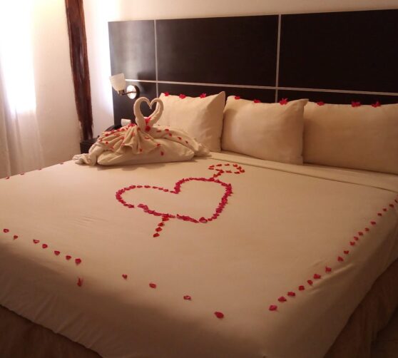 Hotel Musipan Villas · 4