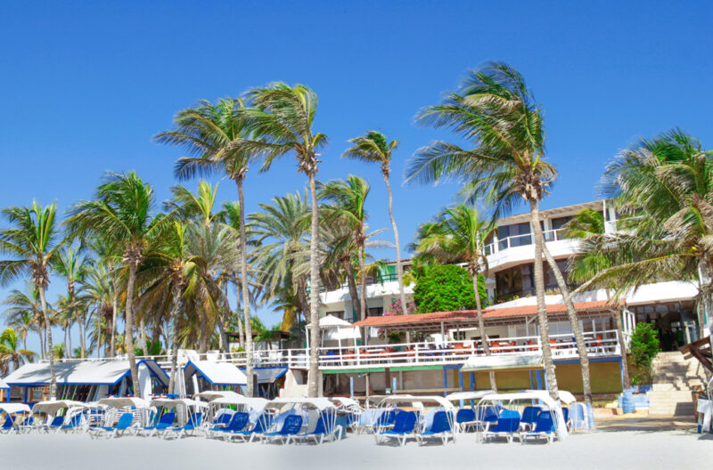 Hotel Paradise Surf · 1