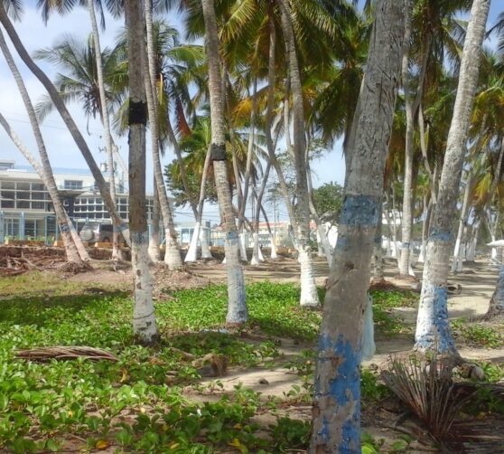 Hotel Residencia Playa el Agua · 4