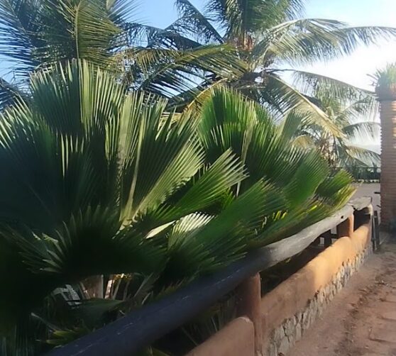 Hotel Vista Hermosa · 4