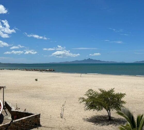 La Cotorra Inn · 5