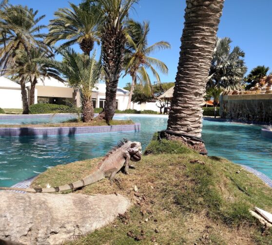 Posada Alcira · 4