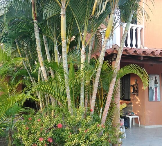 Posada Arimar · 4