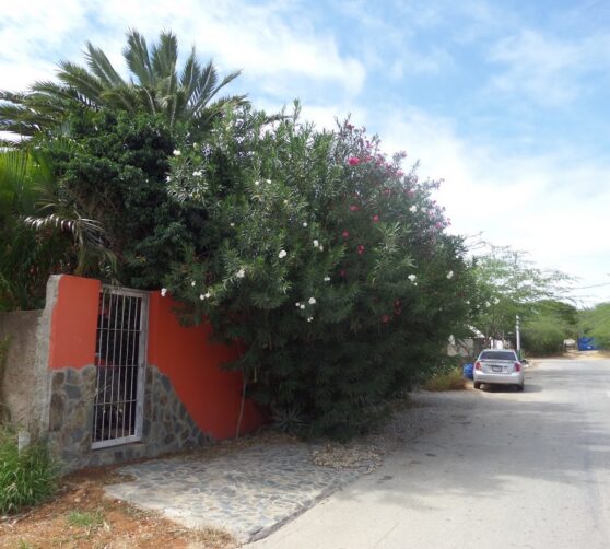 Posada Casa Caracola · 4