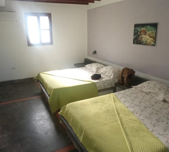 Posada Casa Las Trinitarias · 4