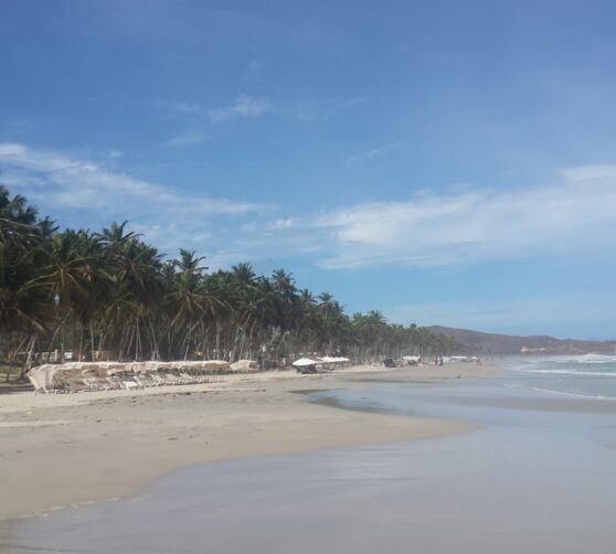 Posada Cerquita Del Mar Inn · 5
