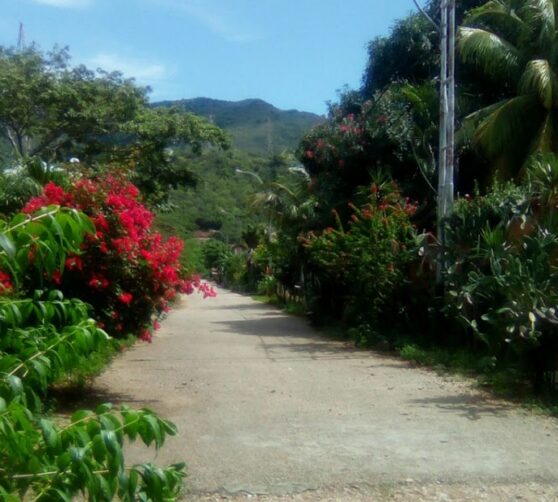 Posada Er Corocoro · 5