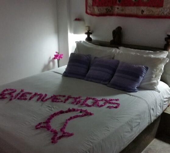 Posada Rancho Delfin · 4