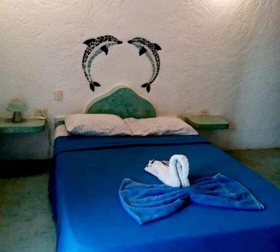 Posada Villa La Azulita · 4