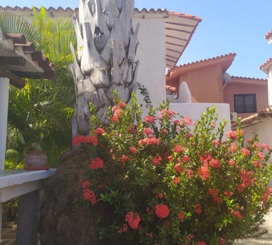 Posada Villa La Azulita · 5