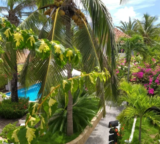 Italcaribe Village · 4