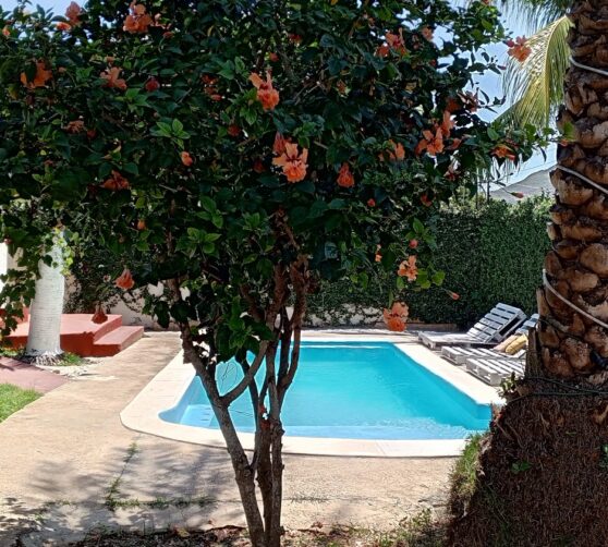Casa vacacional white beach · 5