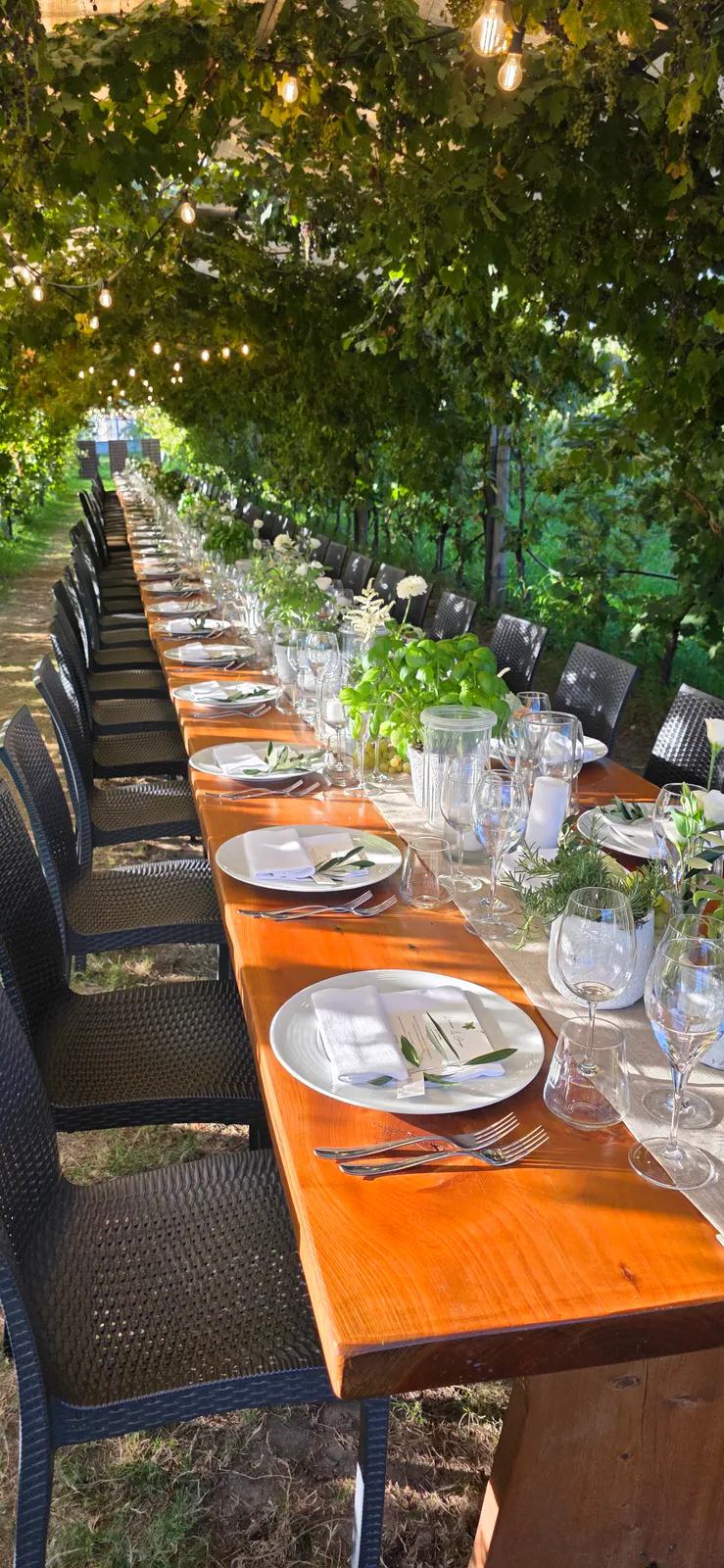 La Cantina Bisson "Cantina degli Abissi"
